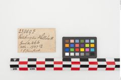 Etiketten zu Eisenklammer (NHMW-PRAE-025089a)
